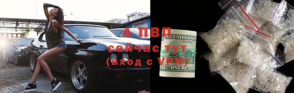 спиды Ростов