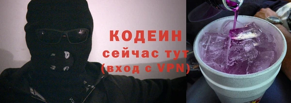 ГАЛЛЮЦИНОГЕННЫЕ ГРИБЫ Абаза