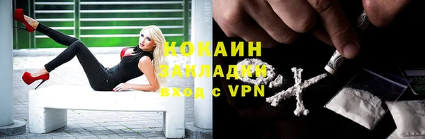 ГАЛЛЮЦИНОГЕННЫЕ ГРИБЫ Абаза