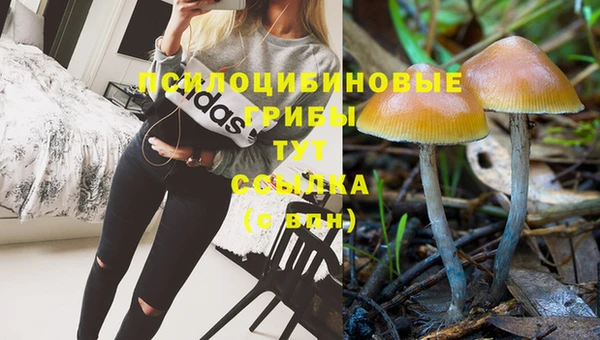 ГАЛЛЮЦИНОГЕННЫЕ ГРИБЫ Абаза