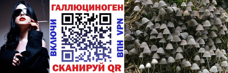 Псилоцибиновые грибы Psilocybine cubensis Добрянка